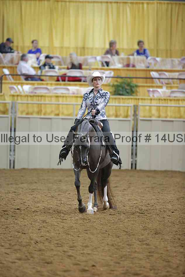 Proof 14usn_14504