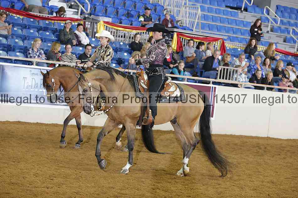 Proof 14usn_14507