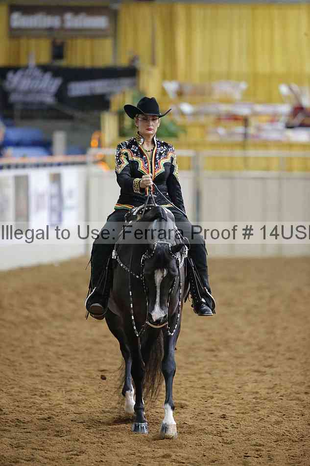 Proof 14usn_14508