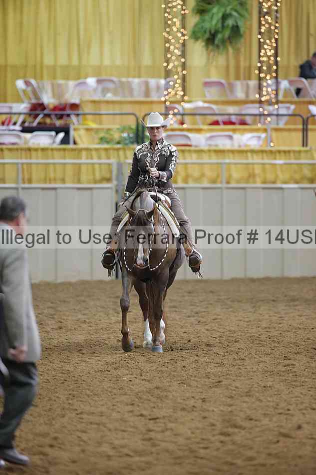 Proof 14usn_14509