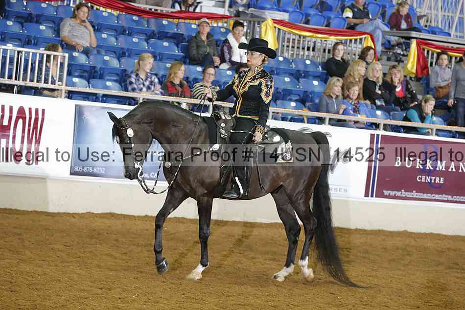 Proof 14usn_14525