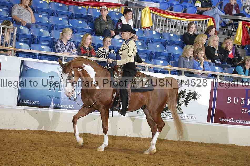 Proof 14usn_14528