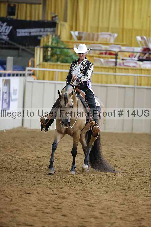 Proof 14usn_14531