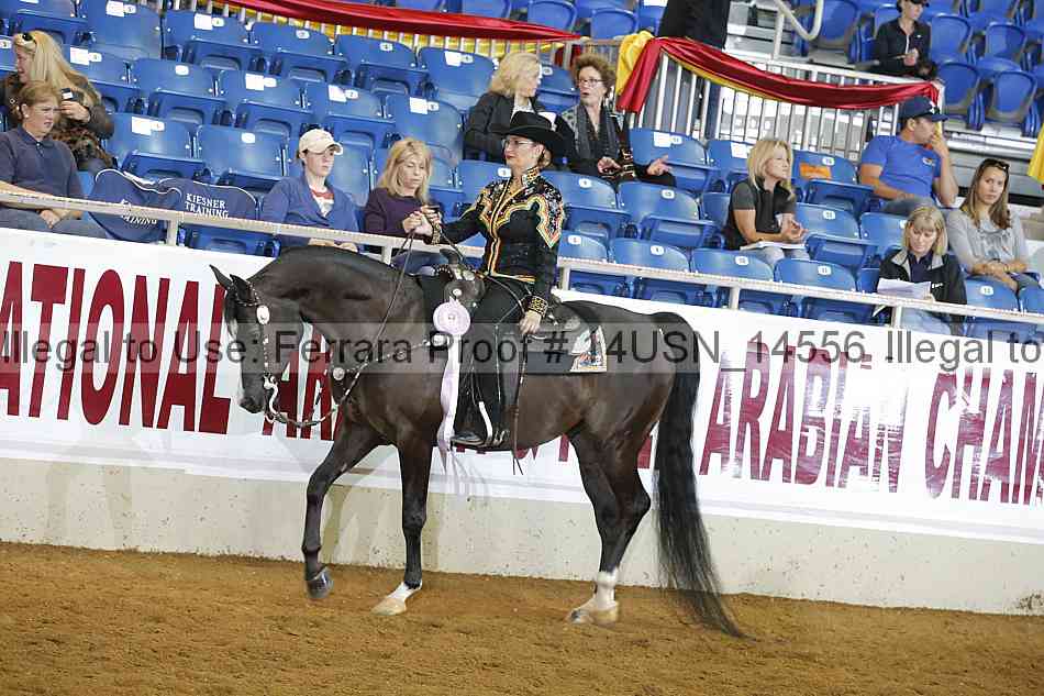 Proof 14usn_14556