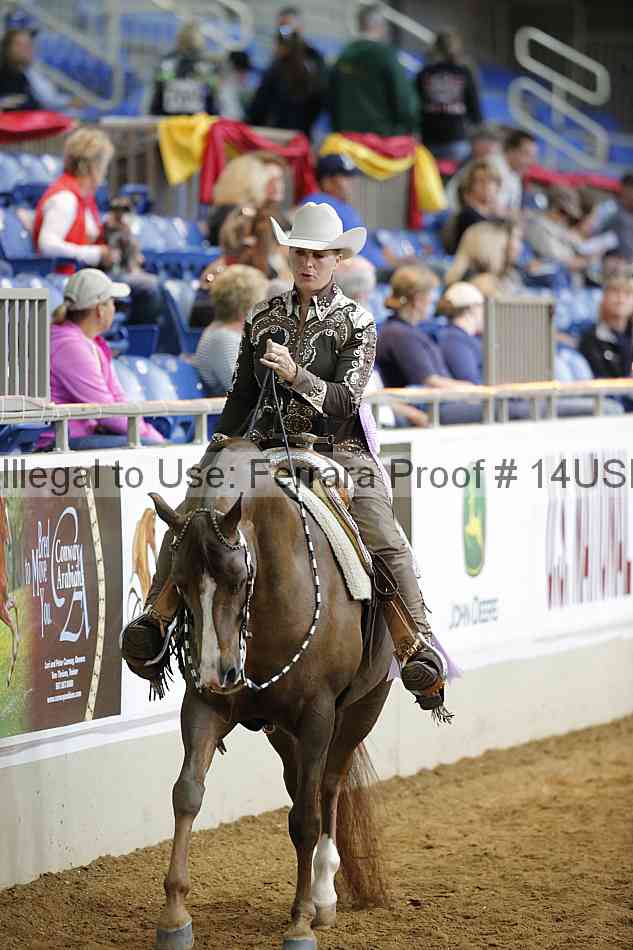 Proof 14usn_14572