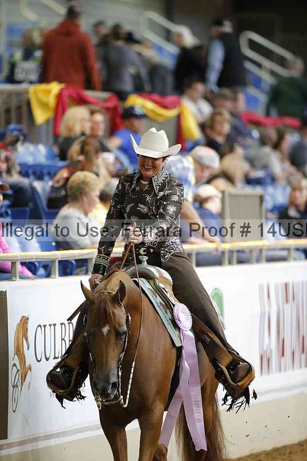 Proof 14usn_14578