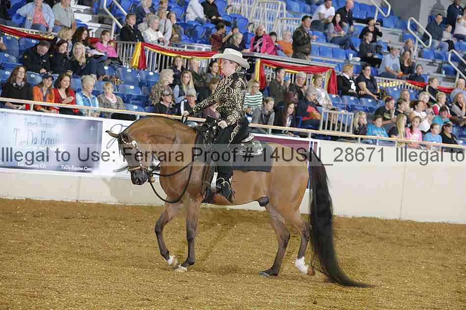 Proof 14usn_28671