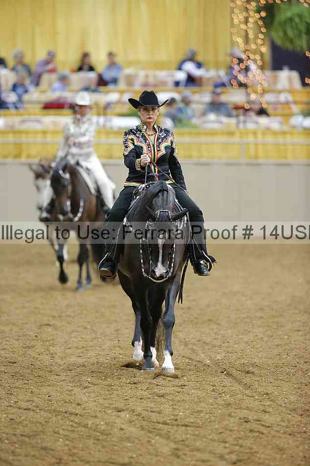 Proof 14usn_28676
