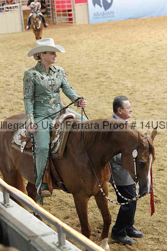 Proof 14usn_28699