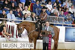 14usn_28704 proof