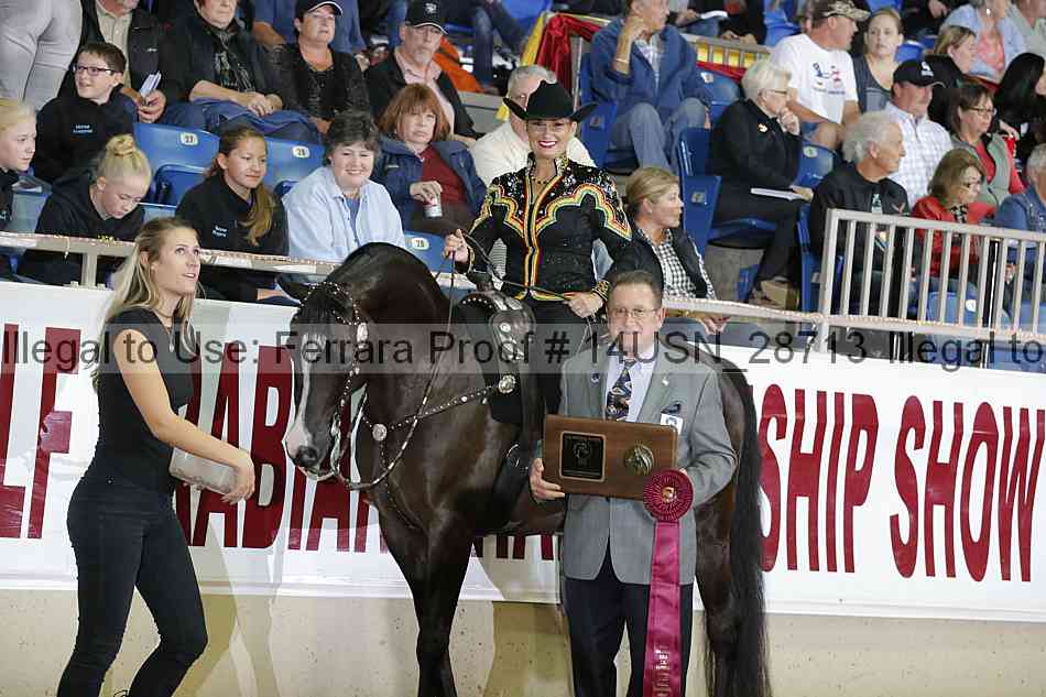 Proof 14usn_28713