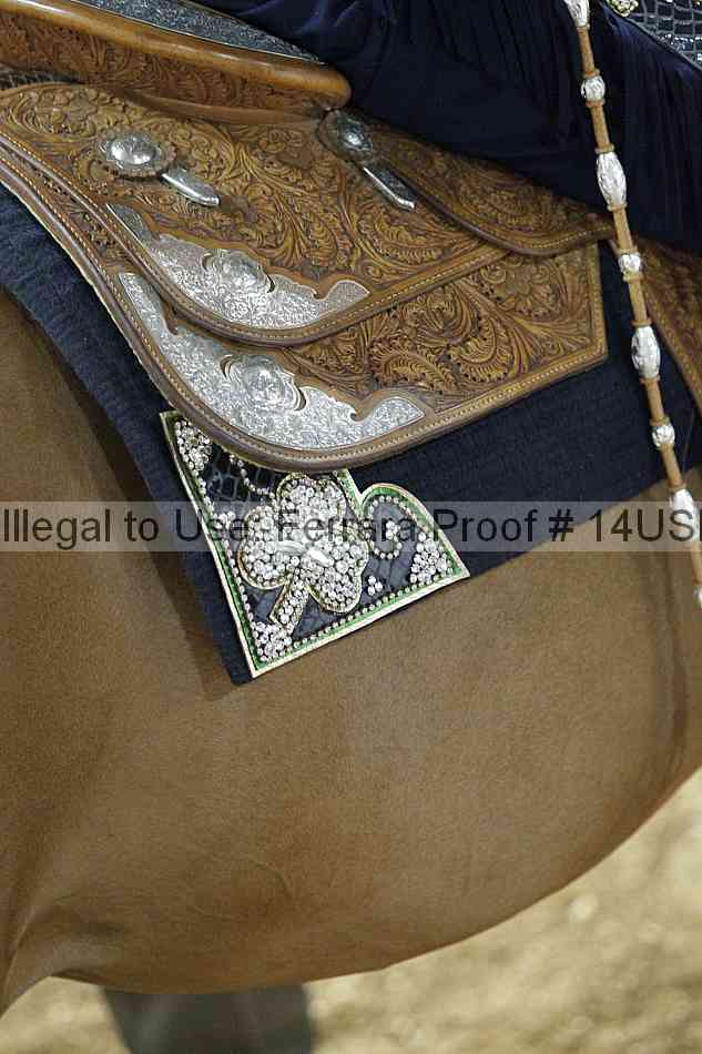 Proof 14usn_28732
