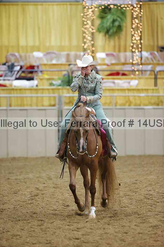 Proof 14usn_28758