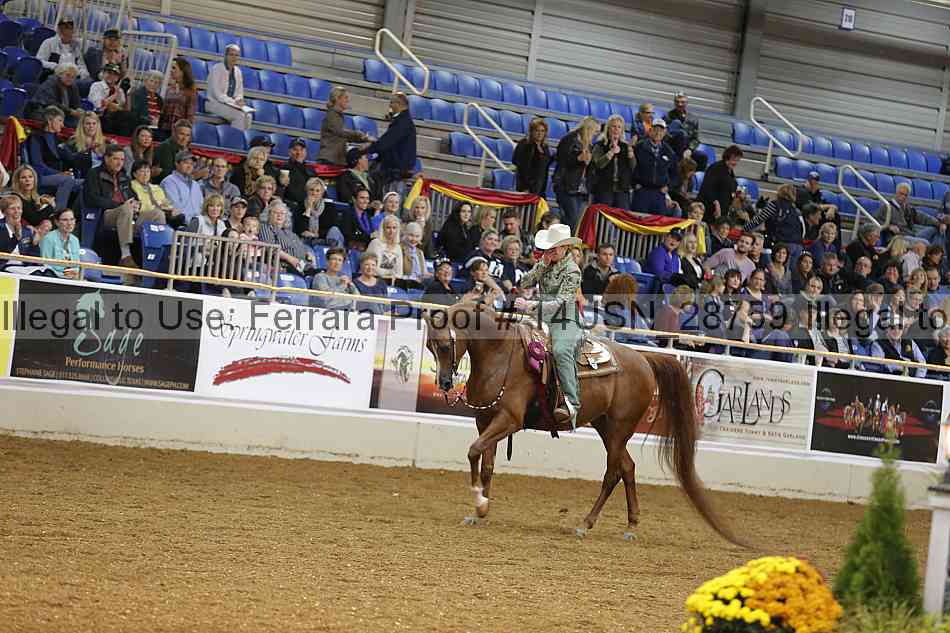 Proof 14usn_28759