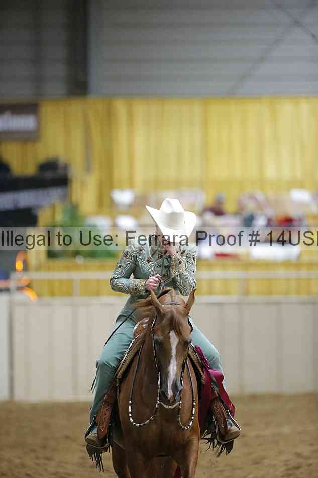 Proof 14usn_28760