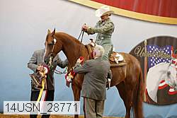 14usn_28771 proof