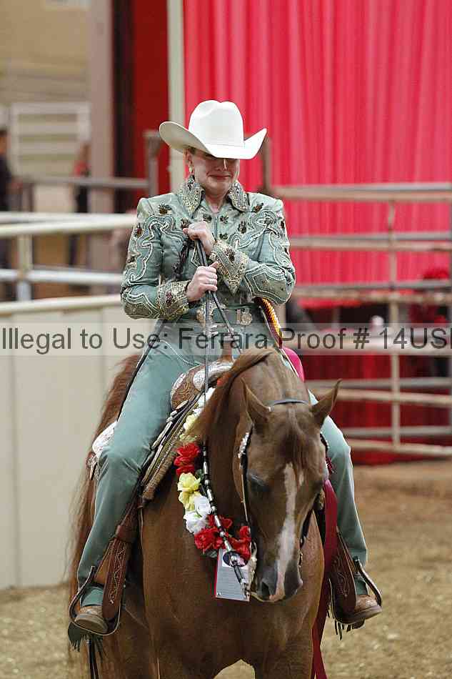 Proof 14usn_28793