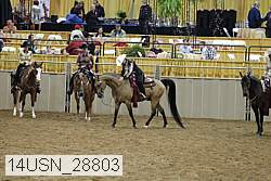 14usn_28803 proof