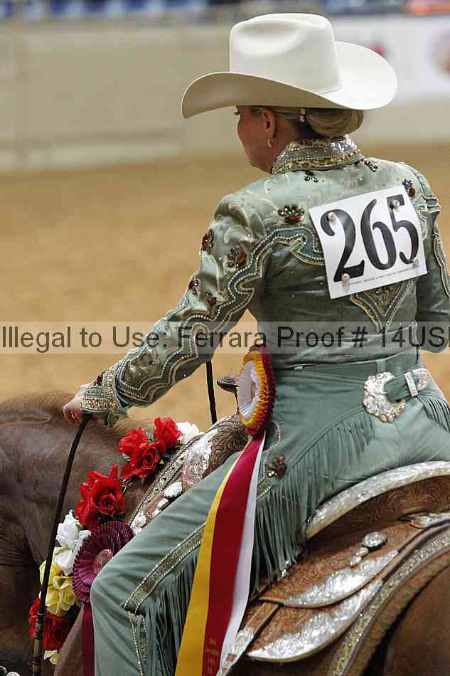 Proof 14usn_28813