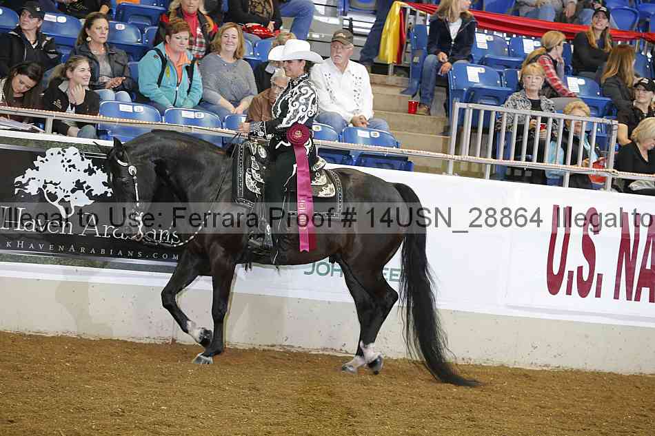 Proof 14usn_28864