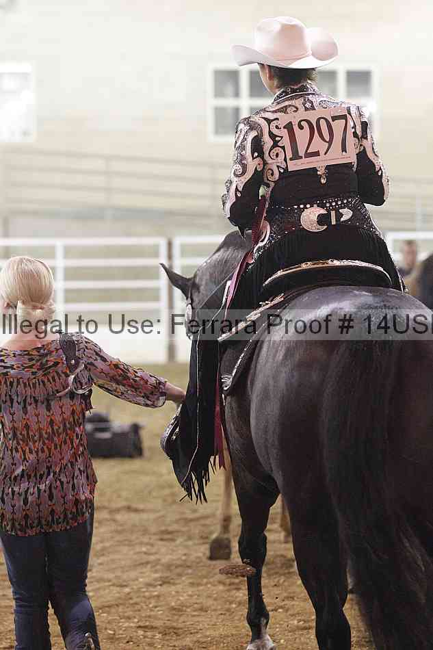 Proof 14usn_28890