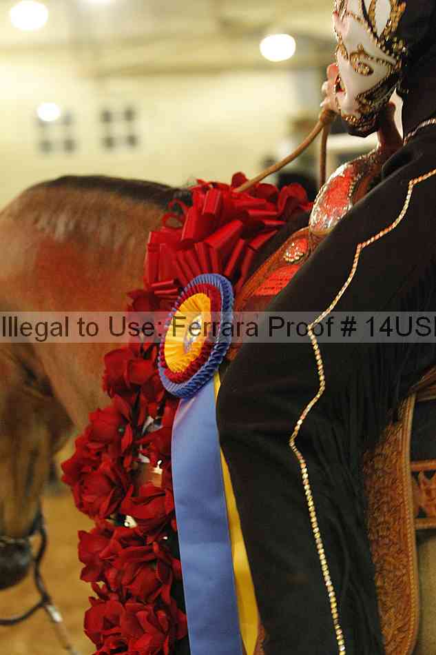 Proof 14usn_28941