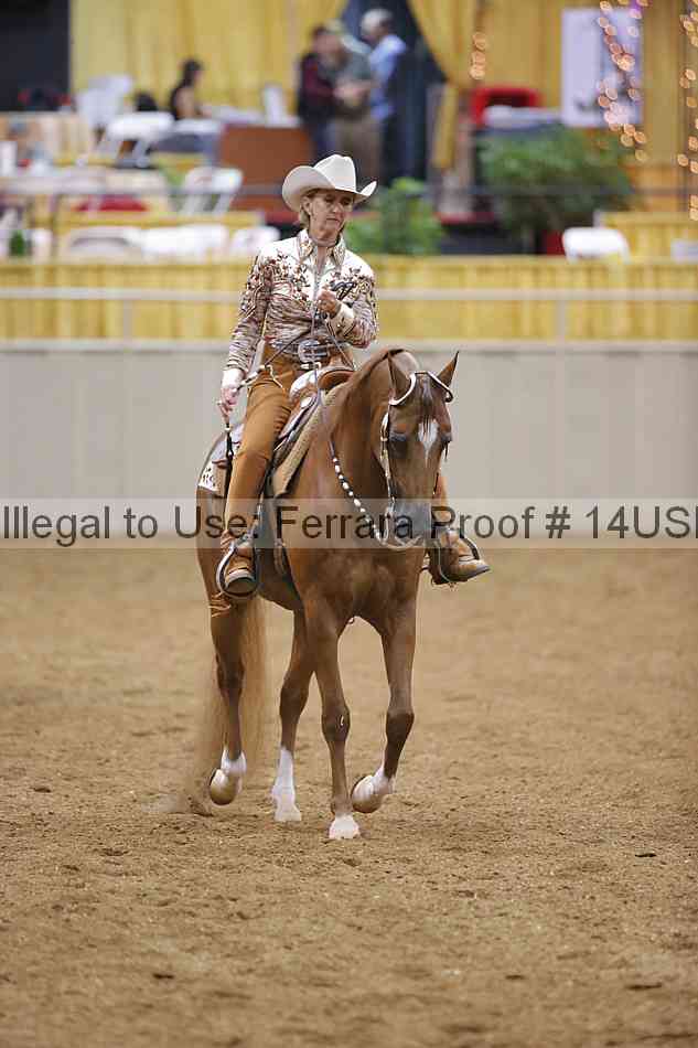 Proof 14usn_04295