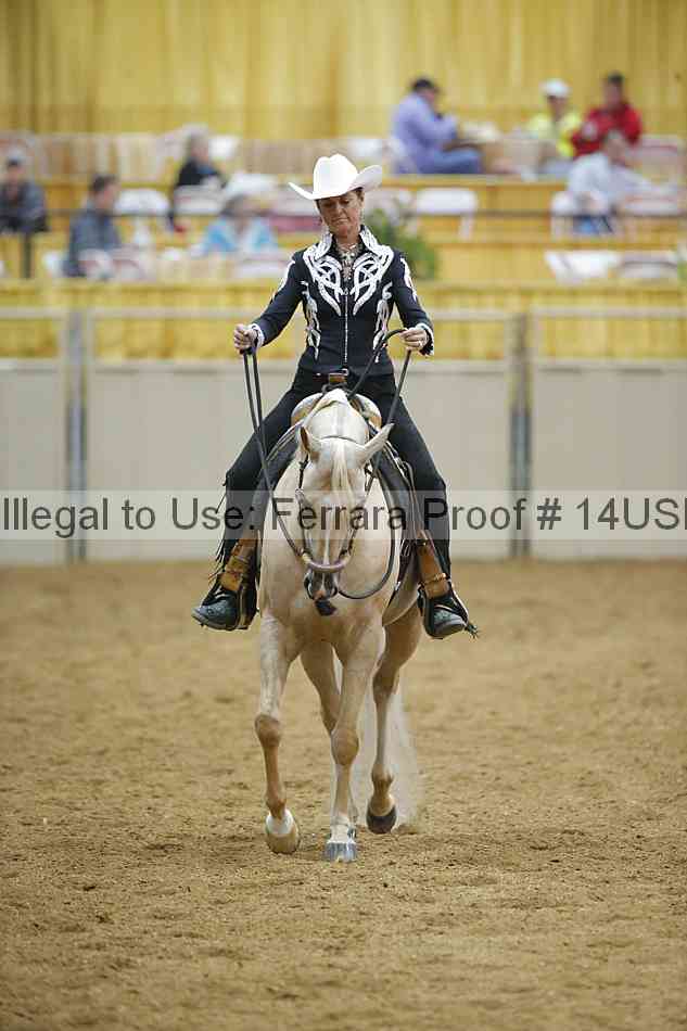 Proof 14usn_04297
