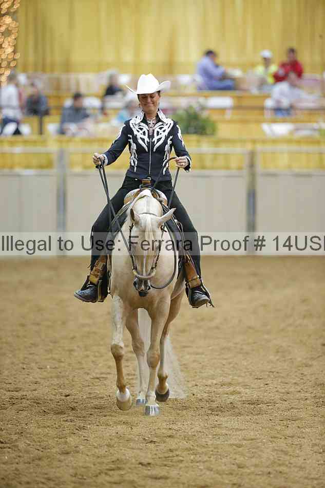 Proof 14usn_04298