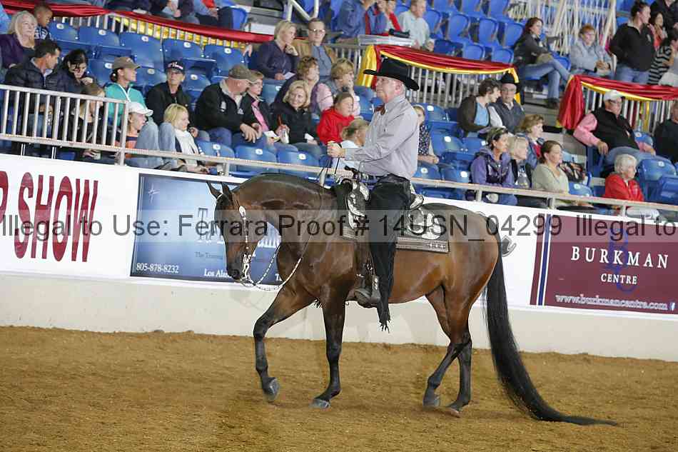 Proof 14usn_04299