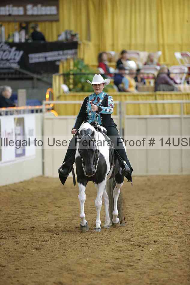 Proof 14usn_04305