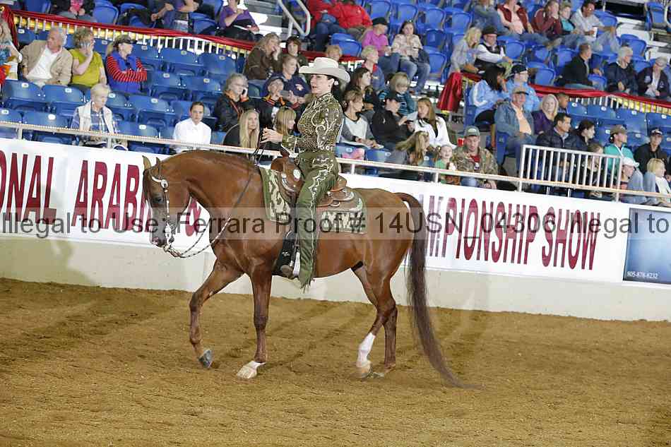 Proof 14usn_04306