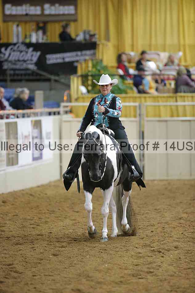 Proof 14usn_04307