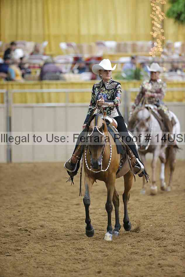 Proof 14usn_04308