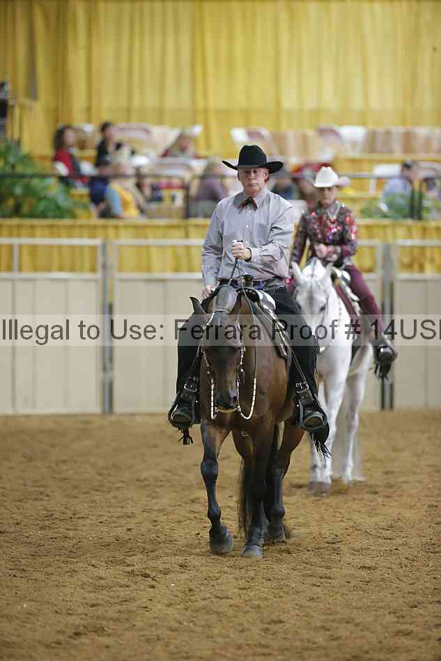 Proof 14usn_04315