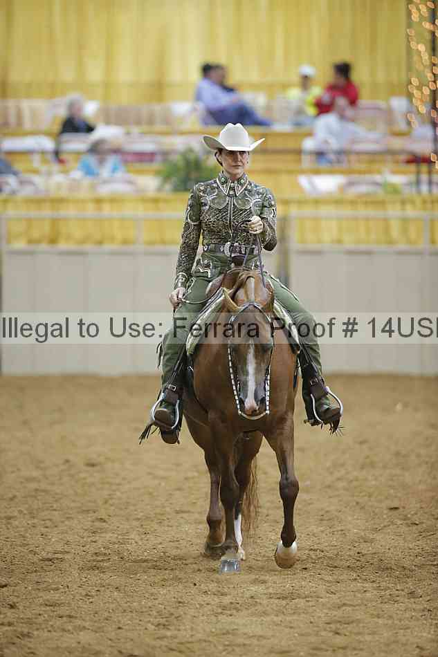 Proof 14usn_04317