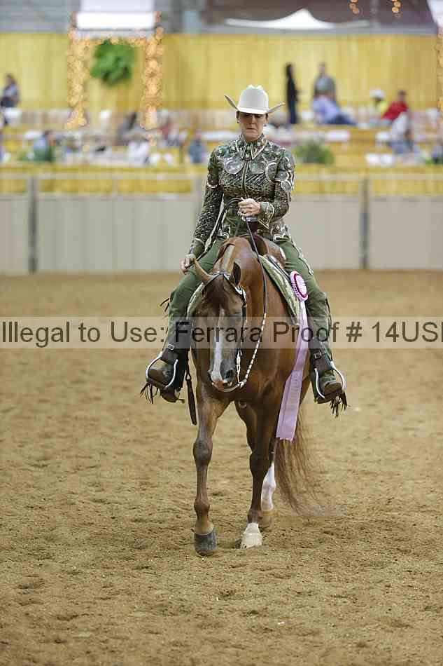 Proof 14usn_04324