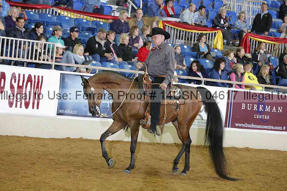 Proof 14usn_04617