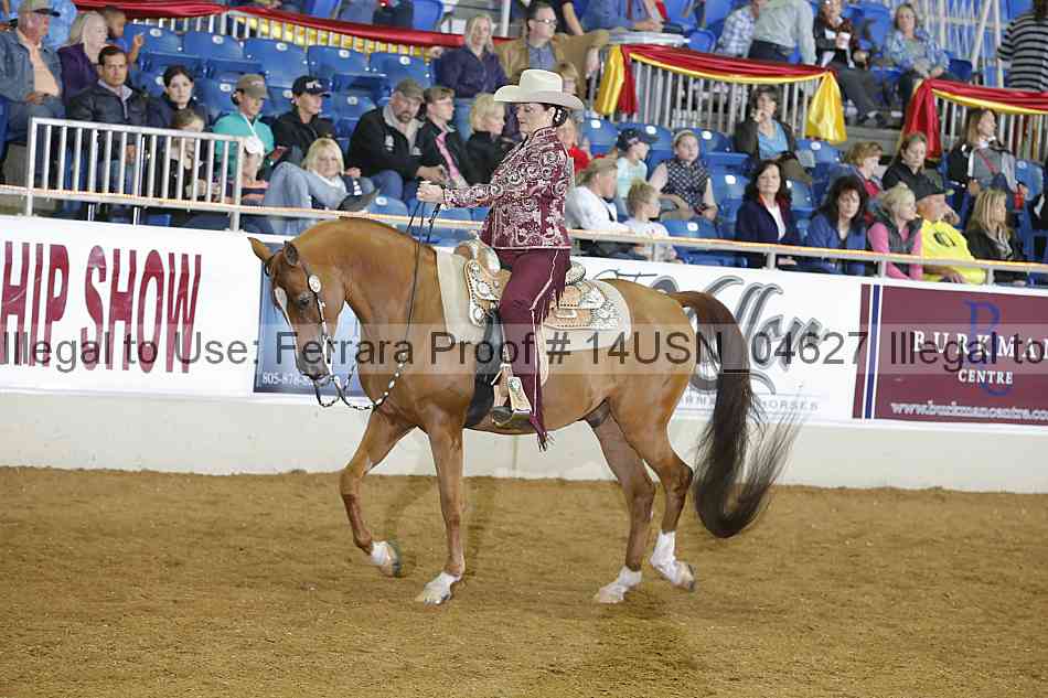 Proof 14usn_04627