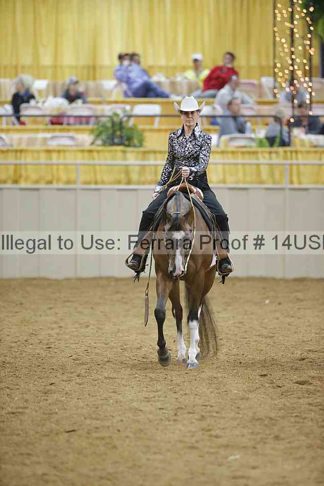 Proof 14usn_04628