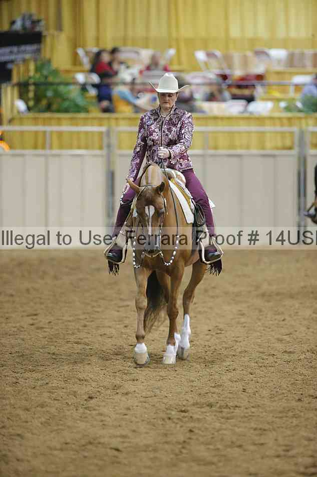 Proof 14usn_04641