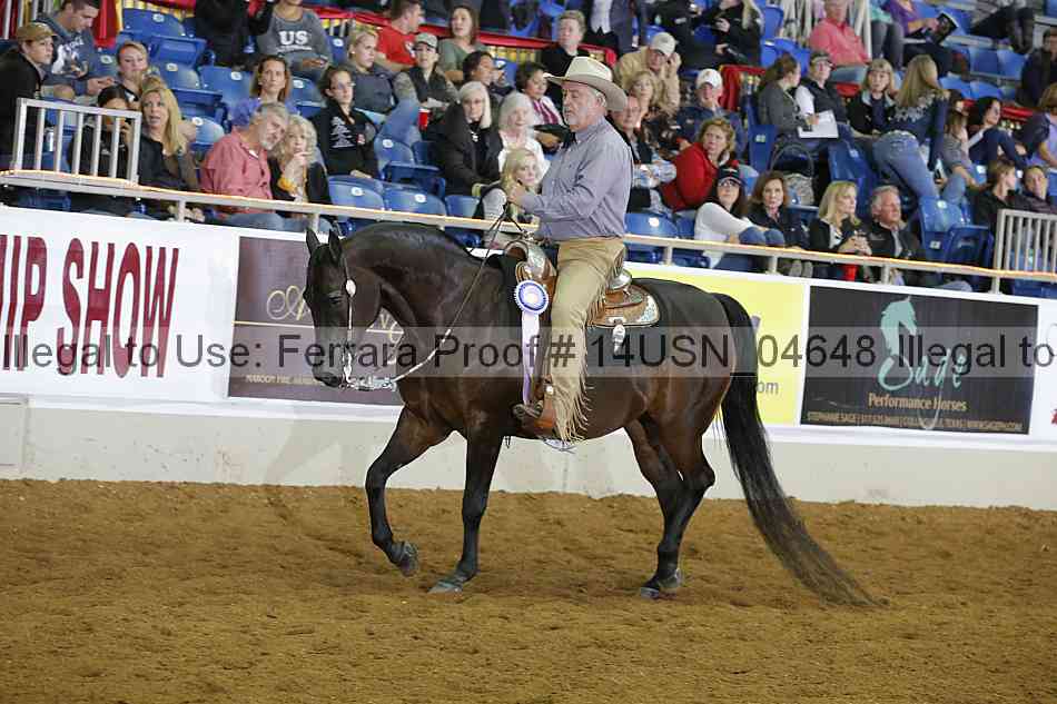 Proof 14usn_04648