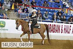 14usn_04666 proof