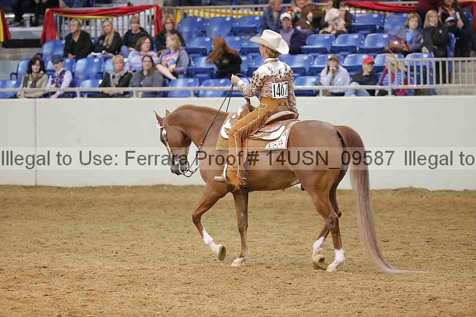 Proof 14usn_09587
