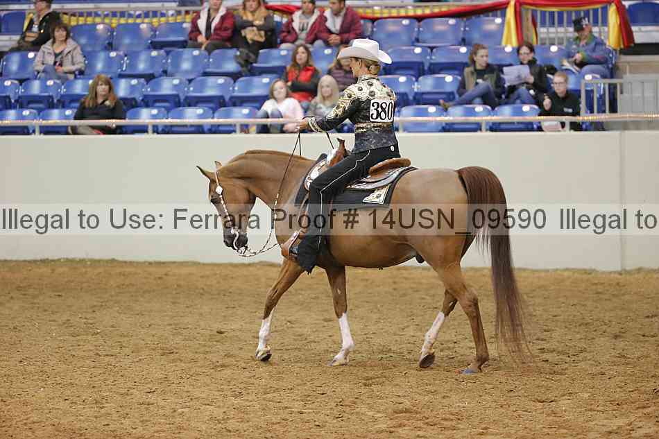 Proof 14usn_09590