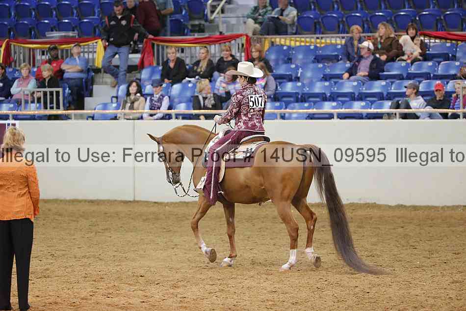 Proof 14usn_09595