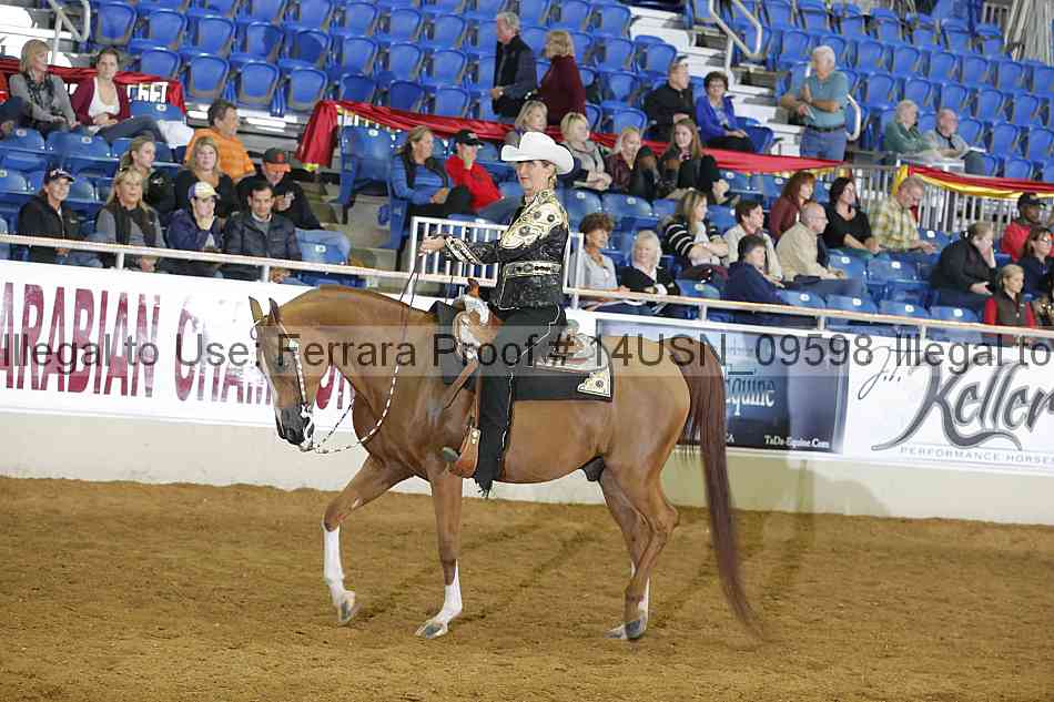 Proof 14usn_09598
