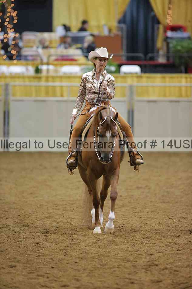 Proof 14usn_09601