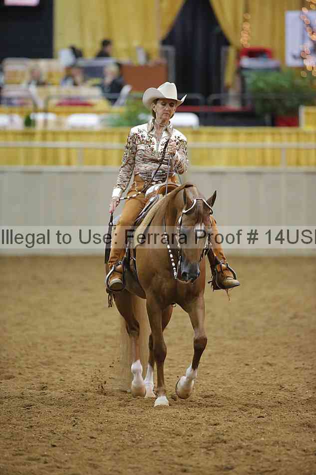 Proof 14usn_09602