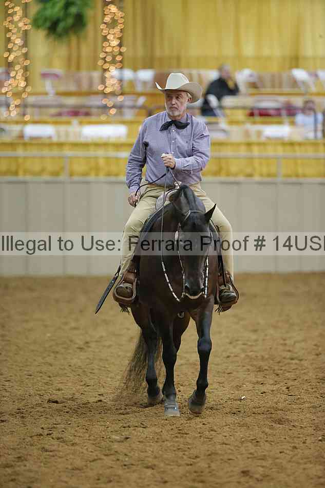 Proof 14usn_09605